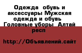 Одежда, обувь и аксессуары Мужская одежда и обувь - Головные уборы. Алтай респ.